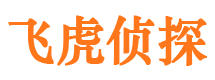 陆良侦探公司